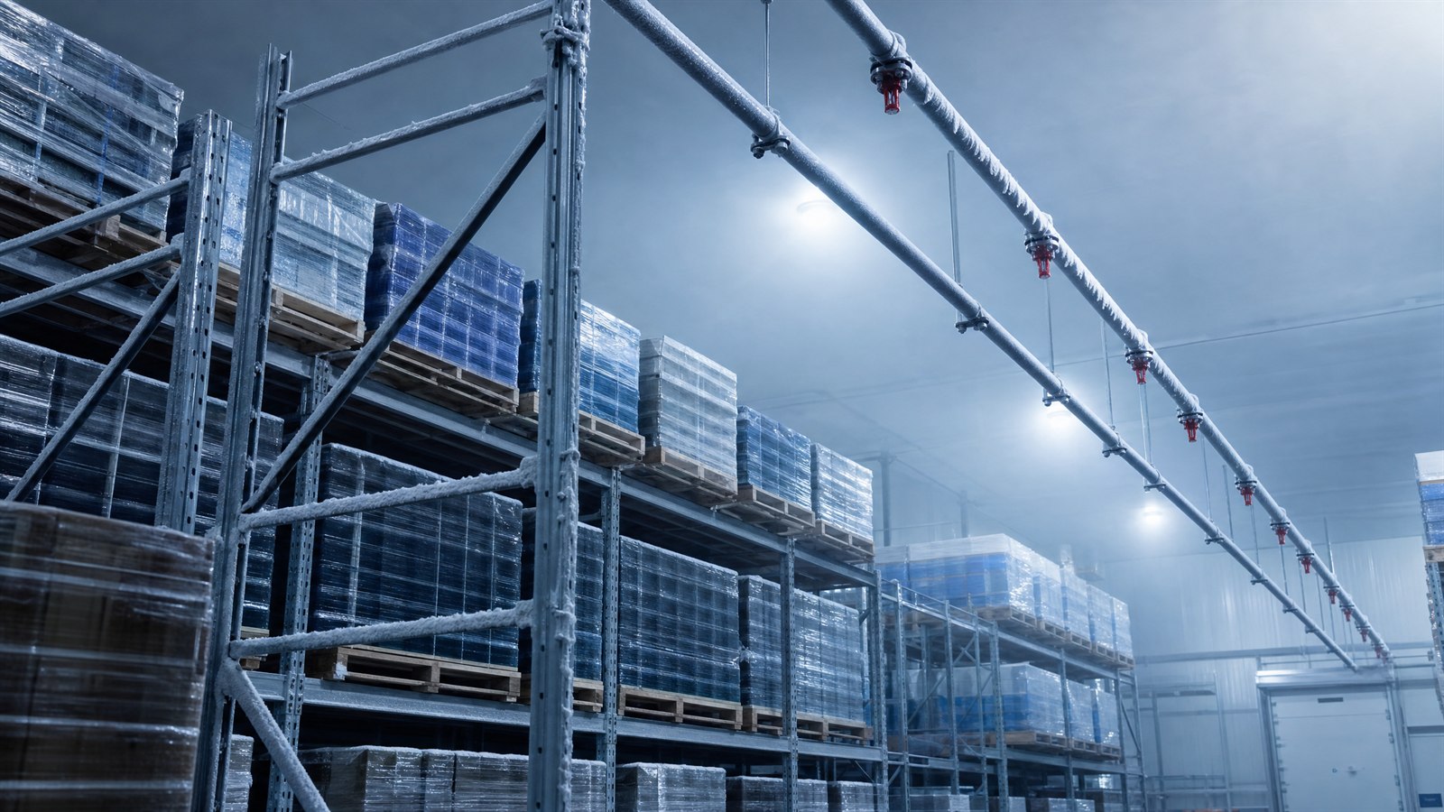 Cold-storage freezer warehouse with frost on steel racking and overhead dry-pipe sprinkler piping